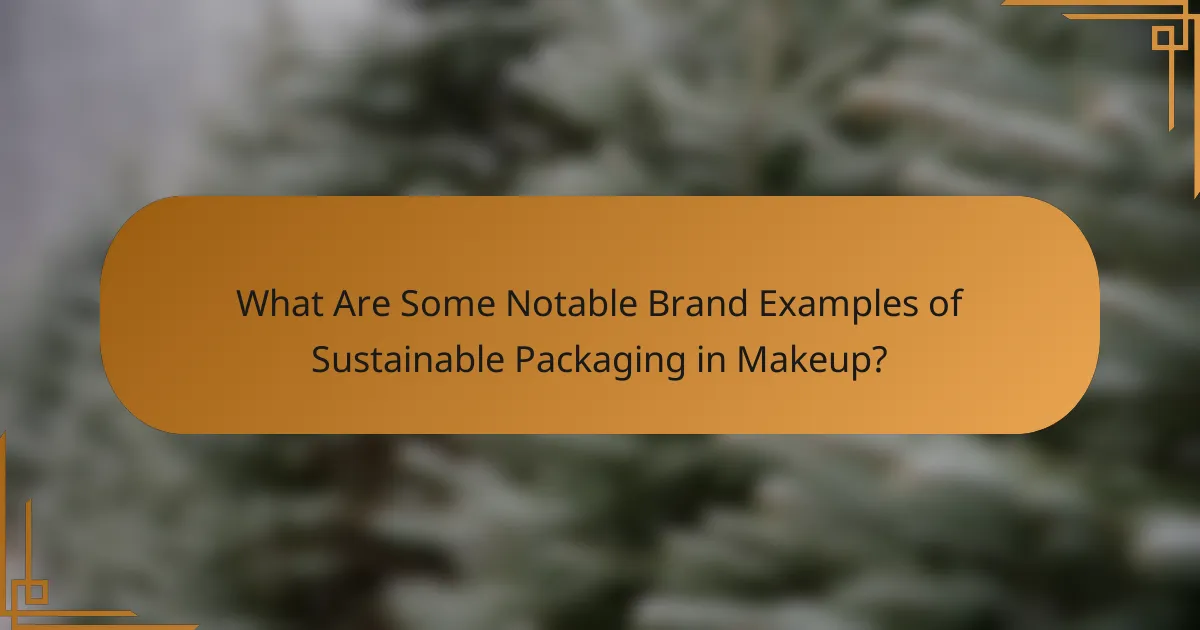 What Are Some Notable Brand Examples of Sustainable Packaging in Makeup?