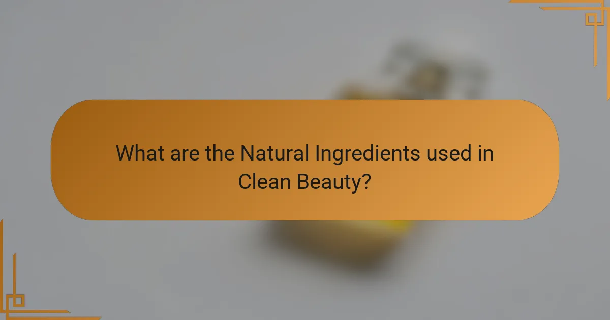 What are the Natural Ingredients used in Clean Beauty?