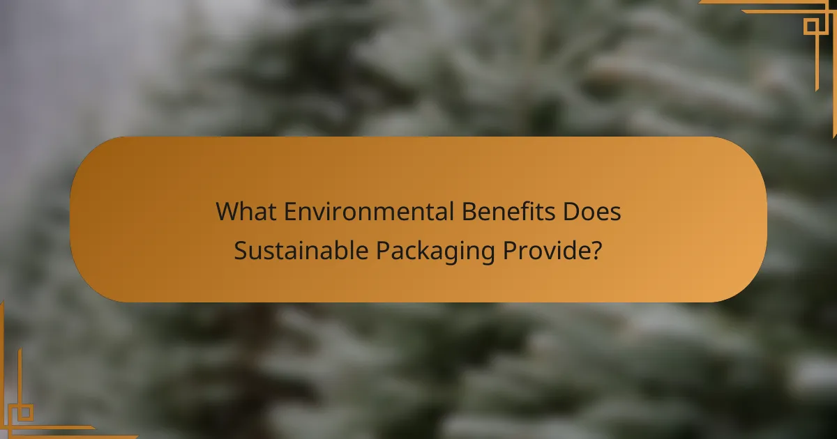 What Environmental Benefits Does Sustainable Packaging Provide?